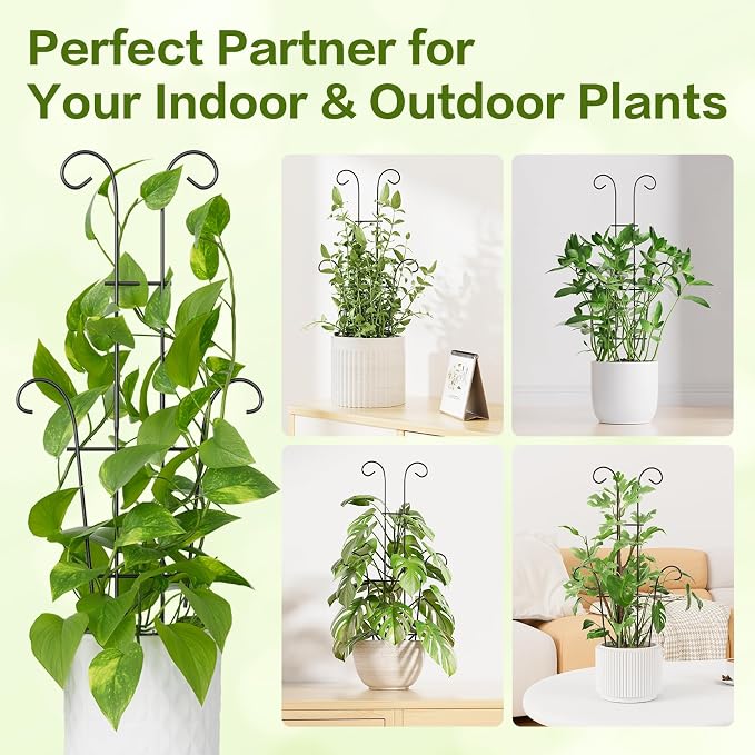 Larger 23.6in Plant Trellis for Climbing Plants Indoor Outdoor, 4 Pack - Image 9