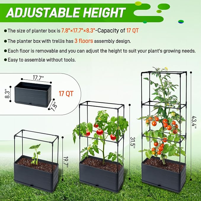 2 Packs Raised Garden Bed Tomato Planter Box - Image 3