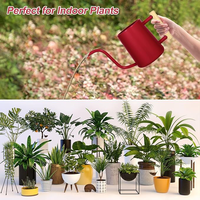 Watering Can Indoor Plants, 35 oz/1000 ml Metal Stainless Steel Watering Can Pot - Image 6
