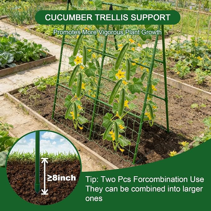 2-Pack A-Frame Cucumber Trellis - Image 4
