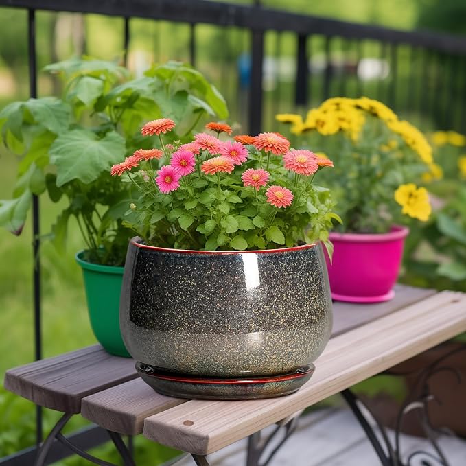 G EPGardening Ceramic Planters - Image 3