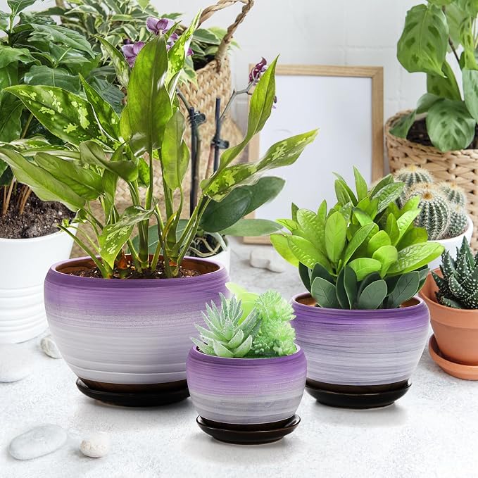 SOUJOY Set of 3 Ceramic Flower Pots, Gardening Plant Pot - Image 6