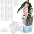 12 Pack 2.5" Small Self Watering Pots by Vandorelle