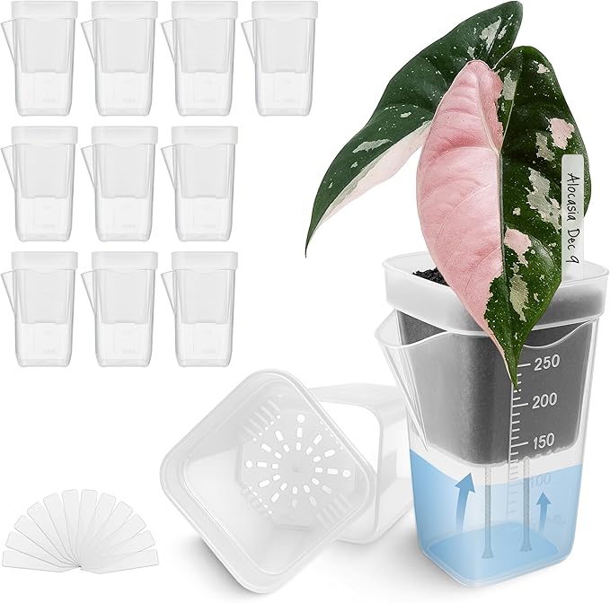 12 Pack 2.5" Small Self Watering Pots by Vandorelle