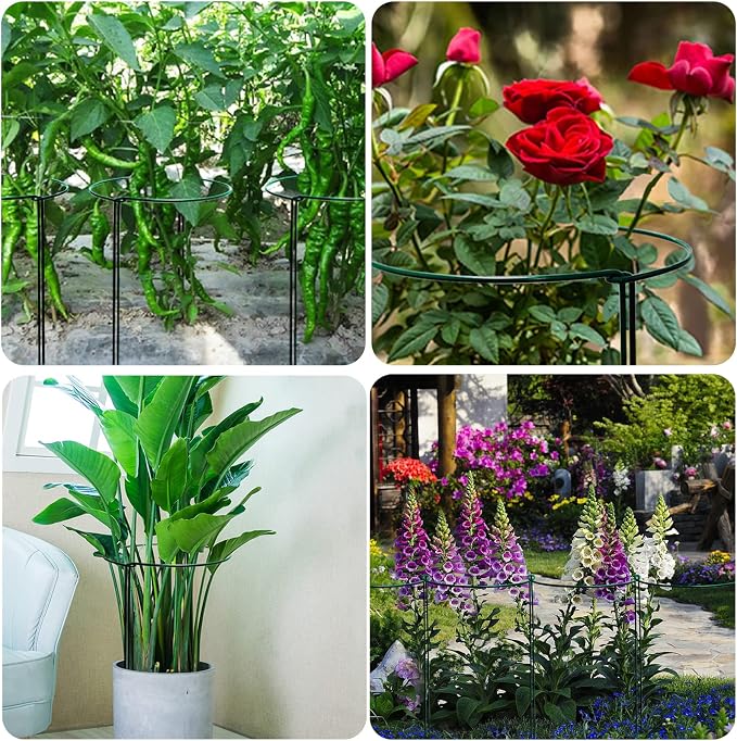 TCBWFY 10 Pack Garden Plant Support Stakes, Plant Supports - Image 7