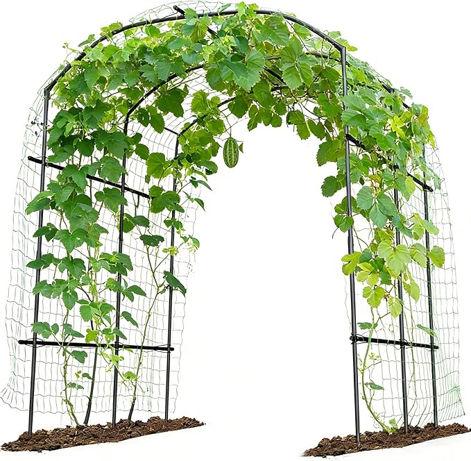 Tall Garden Arch Trellis for Climbing Plants, 87in Tall Metal Plant Support by UrGROWA