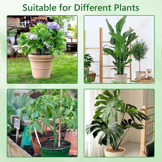 15 Pack Stackable Plant Supports Stakes, Sturdy Garden Trellis - Image 7