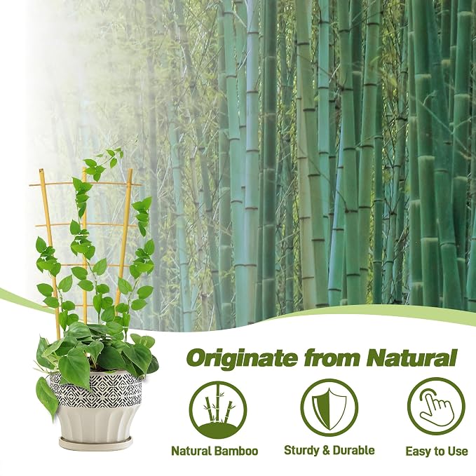 Avalution 10 Pack Bamboo Trellis - Image 4