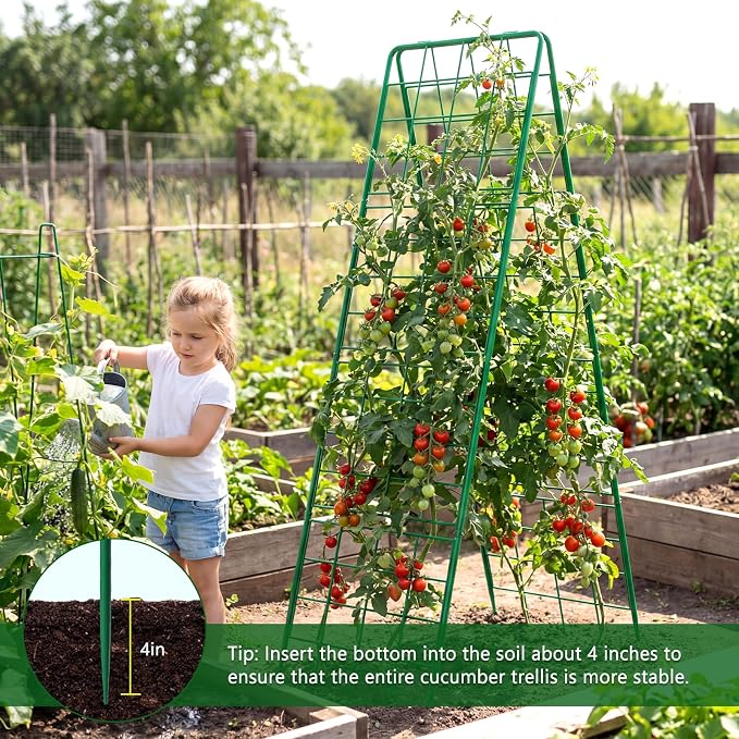 2 Pack Cucumber Trellis, Climbing Plants and Flowers - Image 8