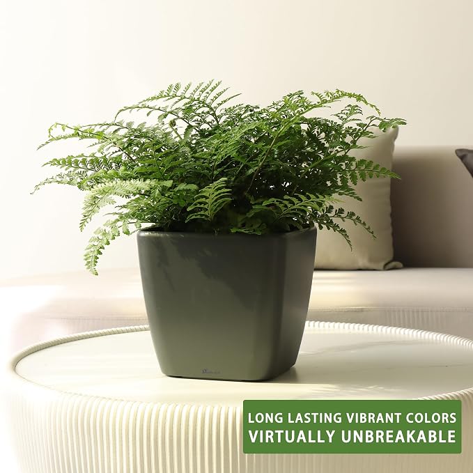 Dexceder 9x8 Self Watering Planter Indoor Outdoor, Inner Mat Design, Thickened - Image 6