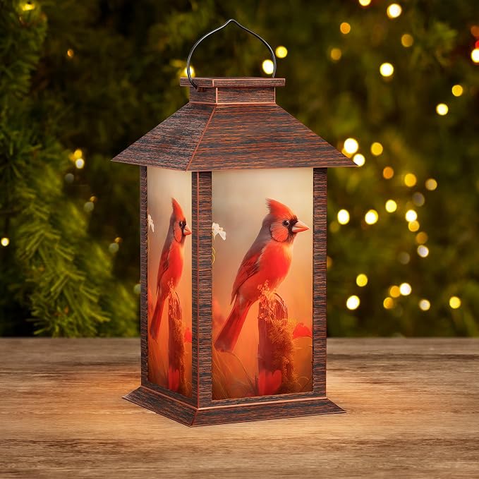 Solar Lanterns Outdoor Waterproof, Cardinal Solar Lights by AFINETH