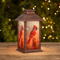 Solar Lanterns Outdoor Waterproof, Cardinal Solar Lights by AFINETH