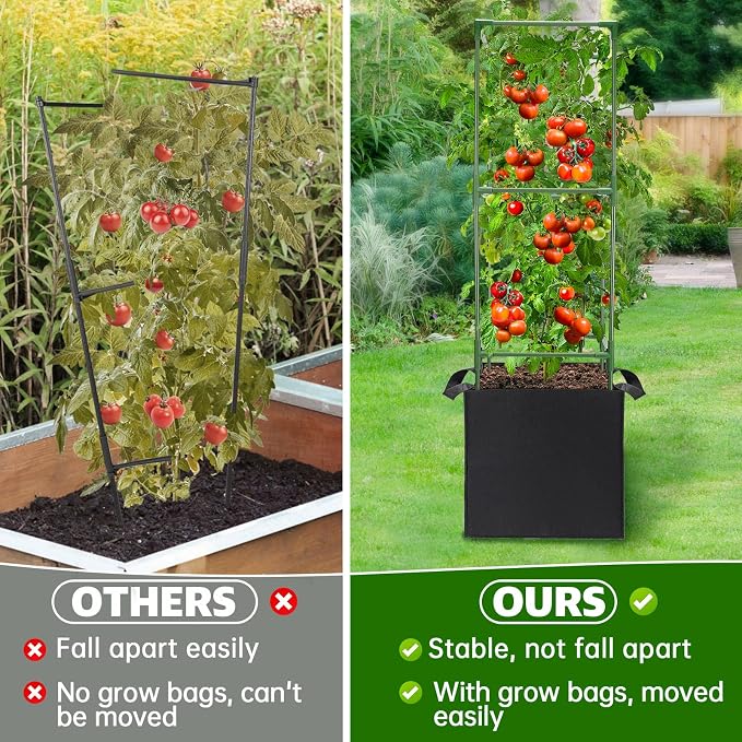 ANPHSIN 3 Sets Tomato Cages - Image 2
