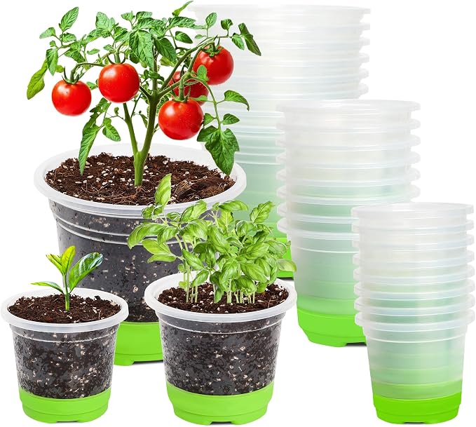MIXC Thickened Clear Nursery Pots by MIXC