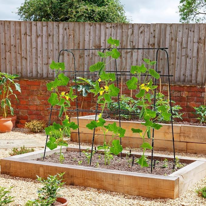 Garden Trellis for Climbing Plants Outdoor, 5.3x5.3ft Garden Trellis Climbing - Image 6