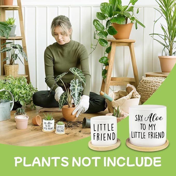 Say Aloe to My Little Friend Planter Pot, Funny Plant Pots, Aloe Plant Pot - Image 4