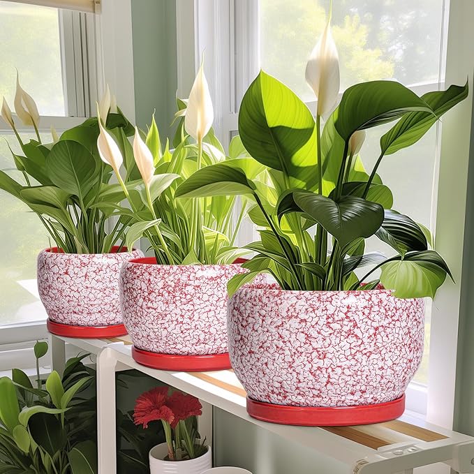 SQOWL 6 Inch Plant Pot - Image 5
