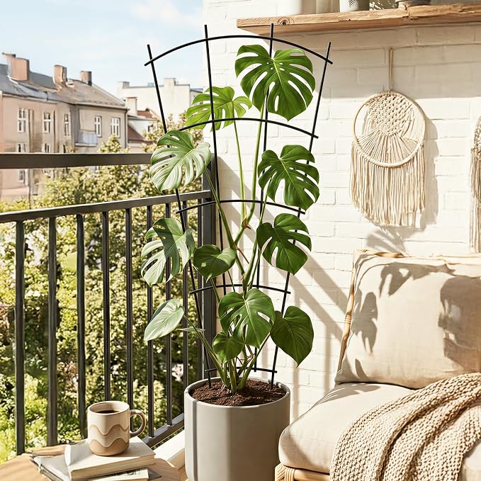 4 Pack 32'' Indoor Plant Trellis - Image 5