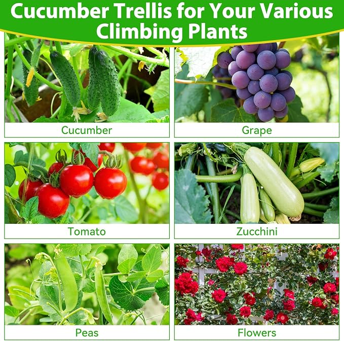 Cucumber Trellis for Raised Bed, Metal Arch Plant Support, Vegetables Trellis - Image 6