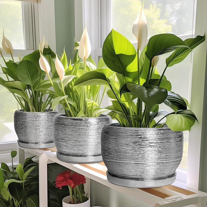 SQOWL Ceramic Pot for Plants - Image 6