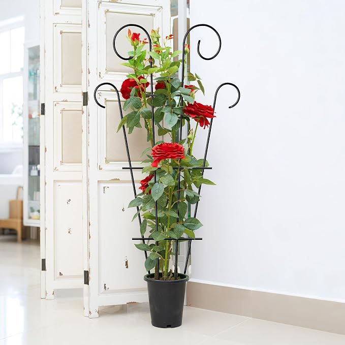 4 Pack 32'' Indoor Plant Trellis - Image 3