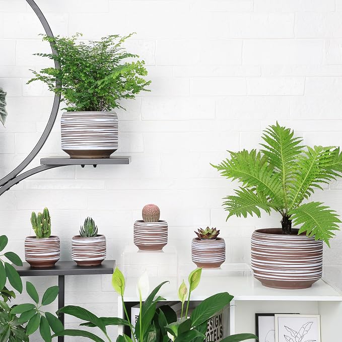 Mini Succulent Planter Set – 3.7 Inch Ceramic Pots - Image 4