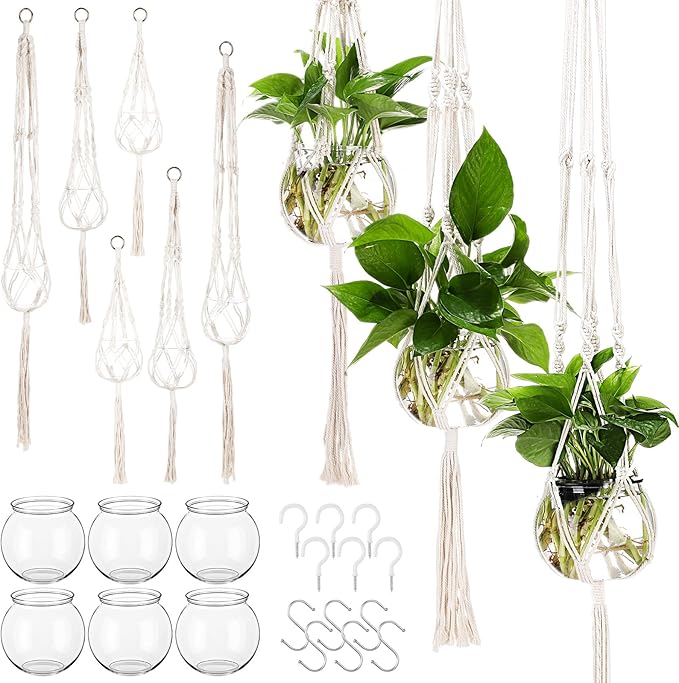 12 Pcs Plastic Plant Propagation by Colingmill