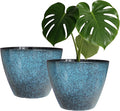2 Pack Plastic Plant Pots with Drainage Holes, 8 inch Planter by Vanslogreen