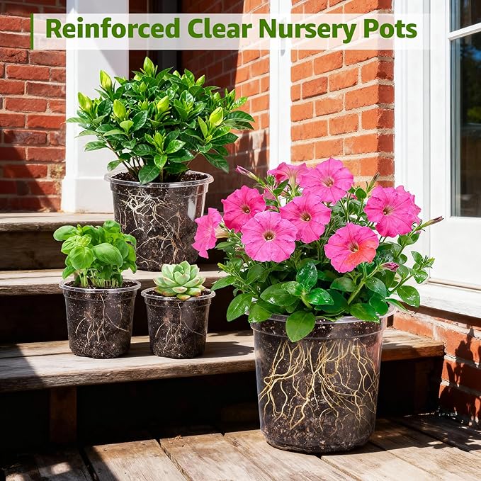 MIXC Clear Nursery Pots with Drainage Holes, 5/4/3.5 Inch Reinforced - Image 6