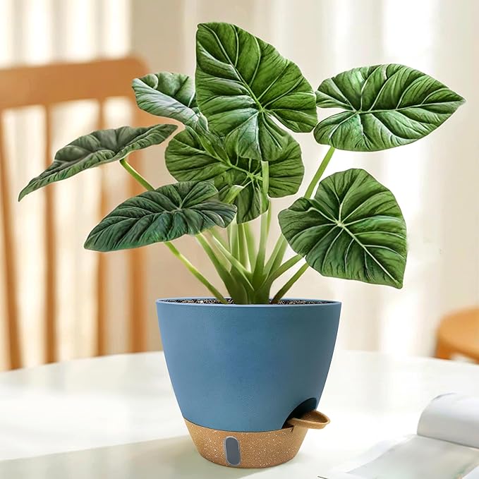 12/10/9/8 inch Self Watering Pots - Image 6