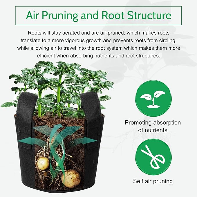 JERIA 12-Pack 2 Gallon Grow Bags, 300G Thickened Nonwoven Garden Pots, Heavy - Image 5