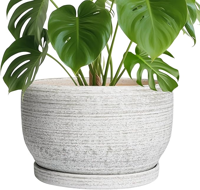 SQOWL Ceramic Flower Pots by SQOWL