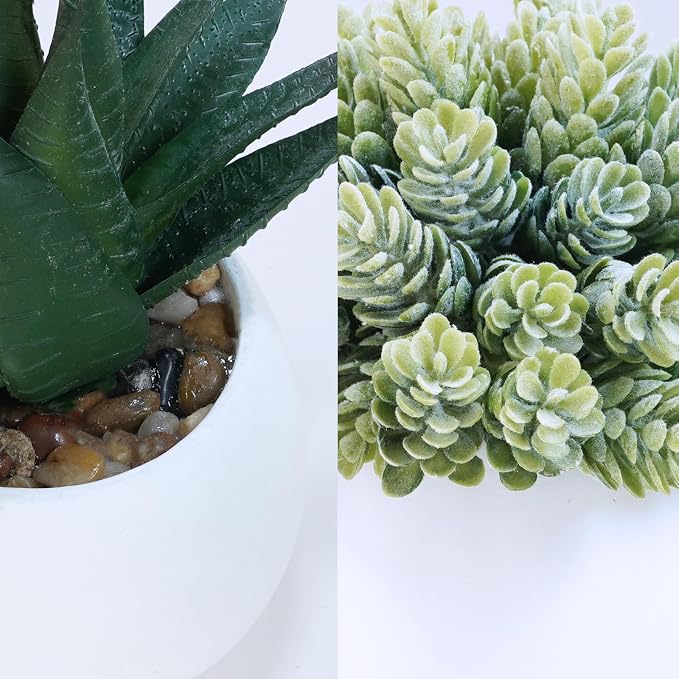 Winlyn Set of 3 Assorted Artificial Succulent Plants in White Concrete Pots - Image 3