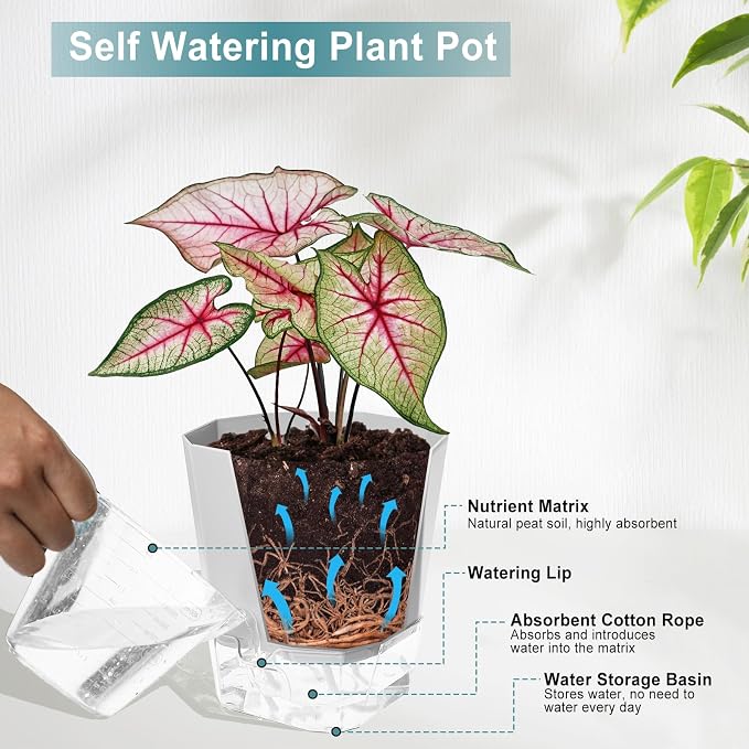 3 Pack Self Watering Planter Pots, 4.9 Inch African Violet Pots - Image 4
