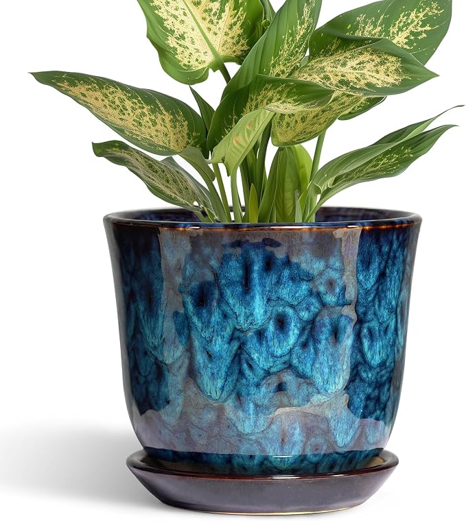 5.6 Inch Plant Pot by SUNPOTFOR