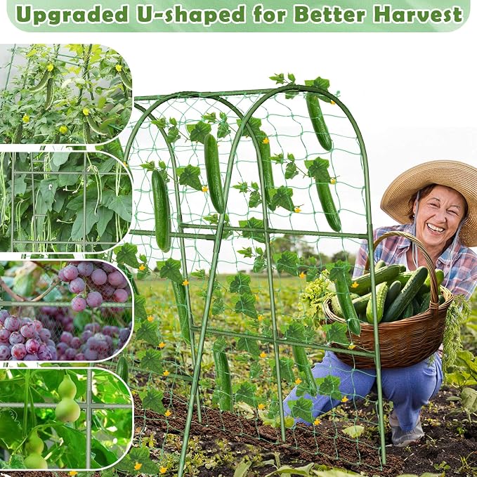 Cucumber Trellis for Raised Bed, Garden Arch Trellis for Climbing Plants Outdoor - Image 6