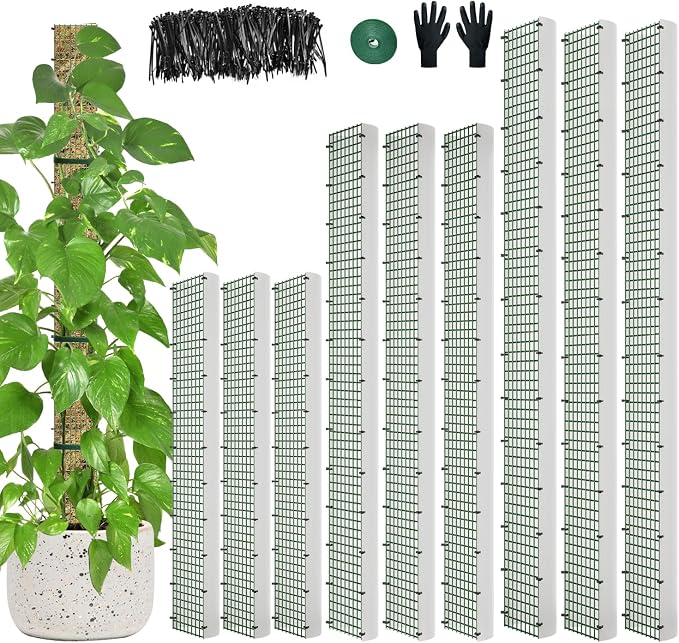 60"/40"/24" Metal Moss Pole, D Shape Sphagnum Moss Pole, Moss Poles by HOLANHING