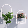 Wall Plant Holder, Wall Planter by Flenpptly