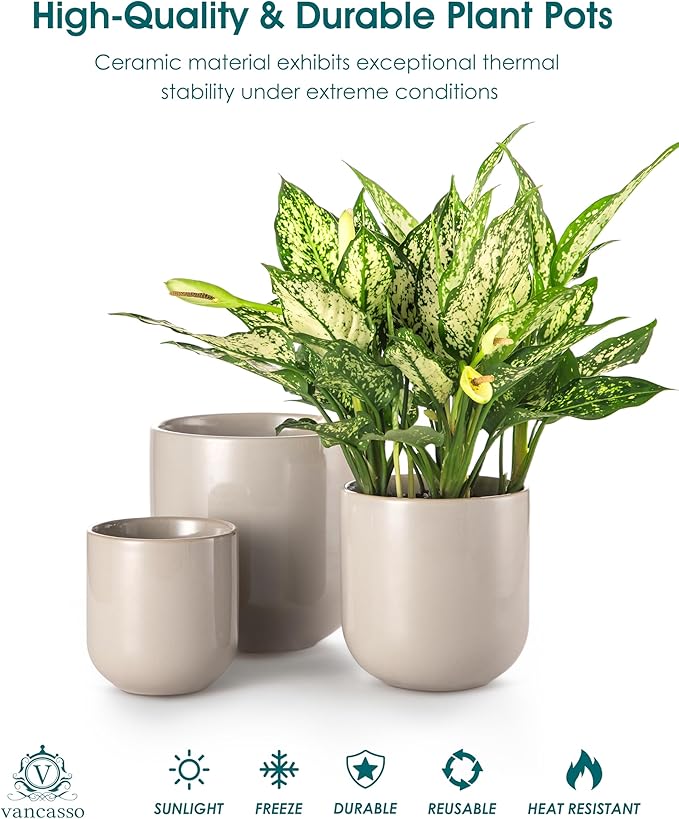 vancasso Ceramic Plant Pots, 4+5+6 inches, Planters - Image 4