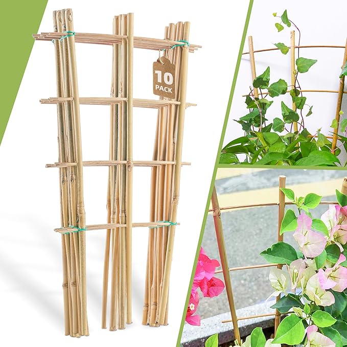 10 Pack 16" Bamboo Trellis for Climbing Plants-Natural Garden Ladder Fan by Biotolot
