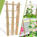 10 Pack 16" Bamboo Trellis for Climbing Plants-Natural Garden Ladder Fan by Biotolot