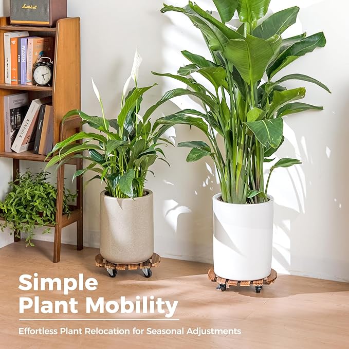 Bamworld14 Inch Wood Plant Caddy - Image 4