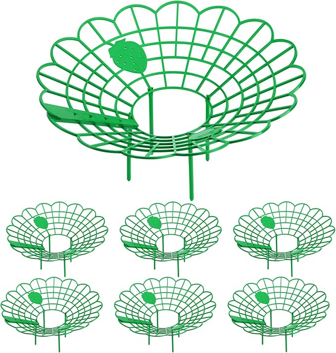 Iceyyyy 6 Pack Strawberry Plant Stand Supports-Strawberry Plant Support Stand by Iceyyyy