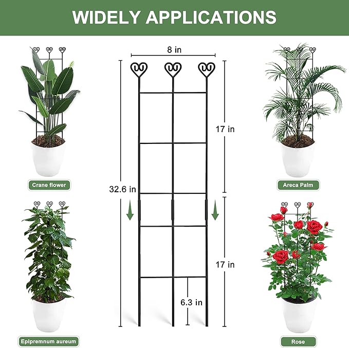 Coomin 2 Pack 32in Monstera Plant Support Stakes - Image 2