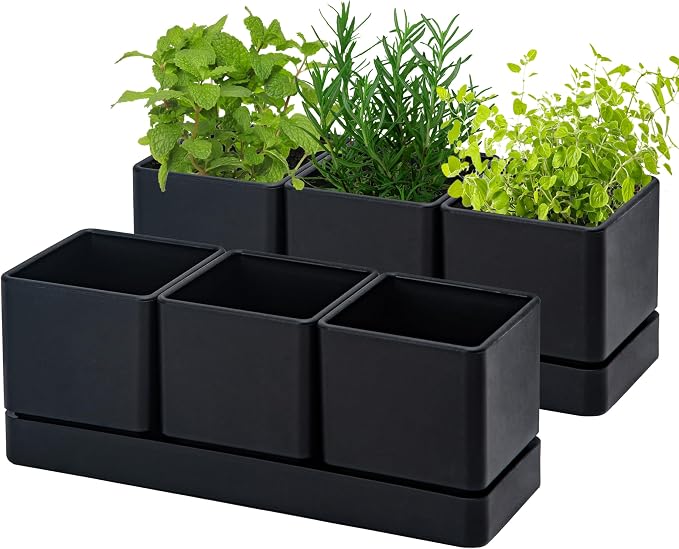 D'vine Dev Herb Garden Planter Set, Plastic Plant Pots by DvineDevPlanterPotsandStand