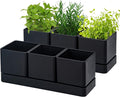 D'vine Dev Herb Garden Planter Set, Plastic Plant Pots by DvineDevPlanterPotsandStand