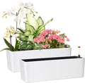 GardenBasix Elongated Self Watering Planter Pots 2-Pack Window Box 5.5 x 16 by GardenBasix
