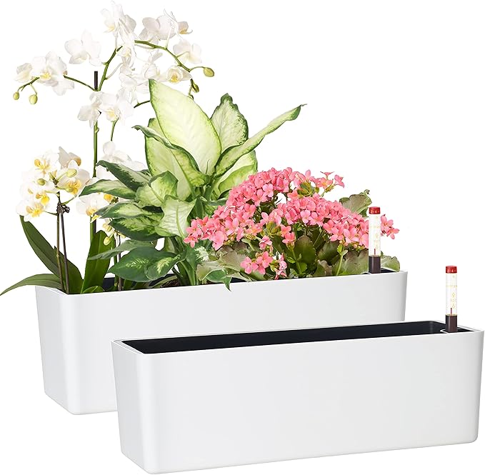 GardenBasix Elongated Self Watering Planter Pots 2-Pack Window Box 5.5 x 16 by GardenBasix