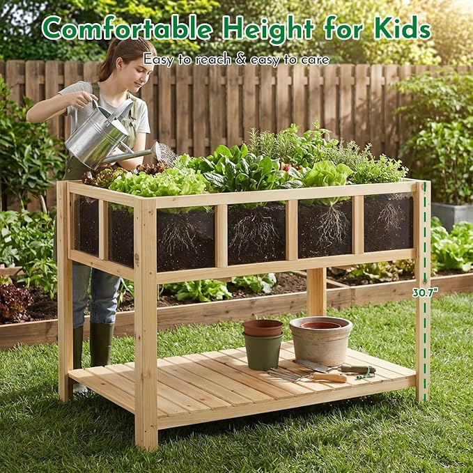 Raised Garden Bed with Transparent Acrylic Panels, Elevated Wooden Raised - Image 7