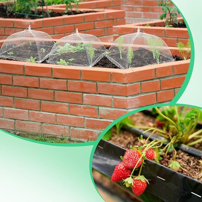 4 Sets Strawberry Plant Supports - Image 5